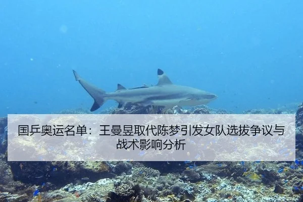 国乒奥运名单：王曼昱取代陈梦引发女队选拔争议与战术影响分析
