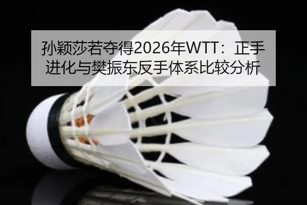 sun-ying-sha-ruo-duo-de-nian-zheng-shou-jin-hua-yu-fan-zhen-dong-fan-shou-ti-xi-bi-jiao-fen-xi-2-216.jpg