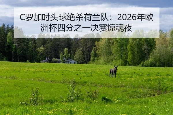 luo-jia-shi-tou-qiu-jue-sha-he-lan-dui-nian-ou-zhou-bei-si-fen-zhi-yi-jue-sai-jing-hun-ye-2-689.jpg