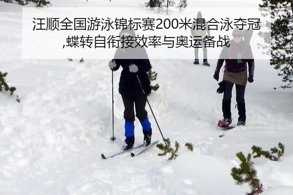 汪顺全国游泳锦标赛200米混合泳夺冠,蝶转自衔接效率与奥运备战