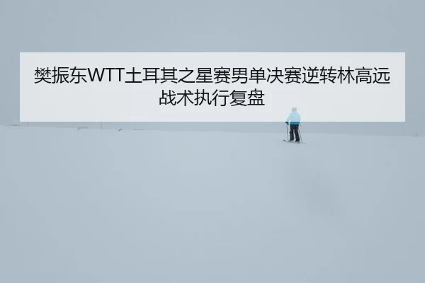 樊振东WTT土耳其之星赛男单决赛逆转林高远战术执行复盘