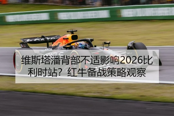 wei-si-ta-pan-bei-bu-bu-shi-ying-xiang-bi-li-shi-zhan-hong-niu-bei-zhan-ce-lve-guan-cha-3-203.jpg